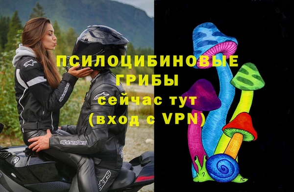 первитин Инта