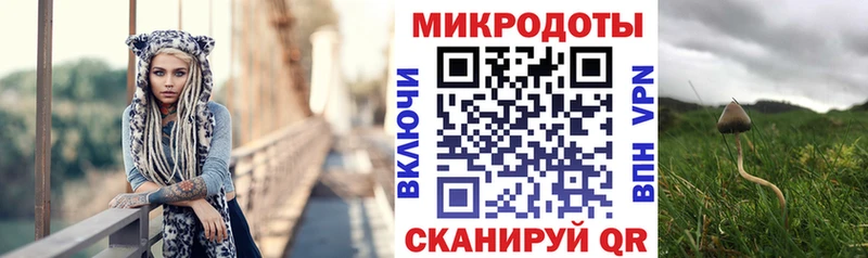 Галлюциногенные грибы мухоморы  Купить закладки  Ирбит 